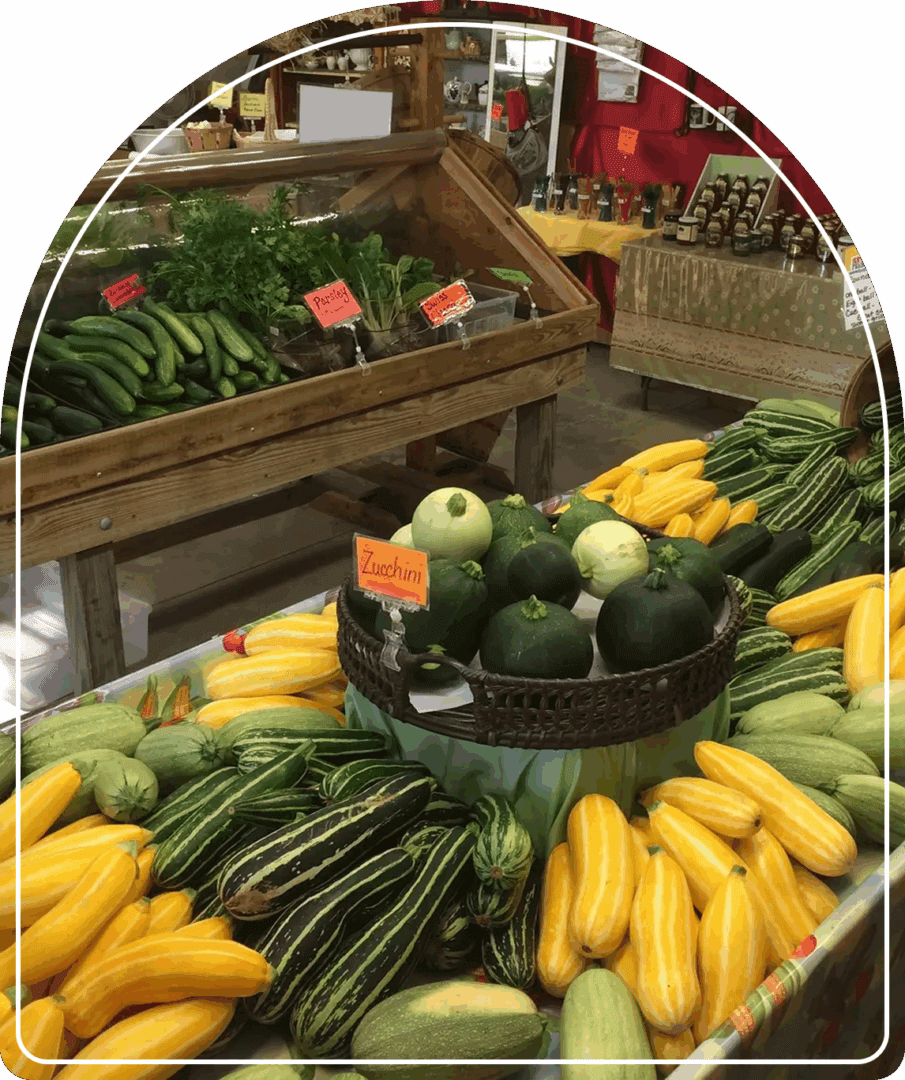 Assorted squash and zucchini at a market.