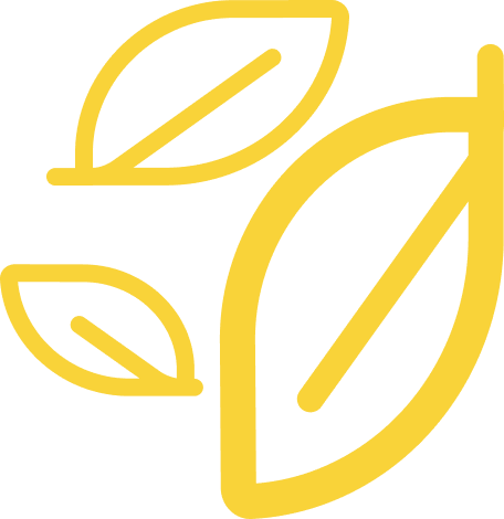 Yellow leaf icon on black background.